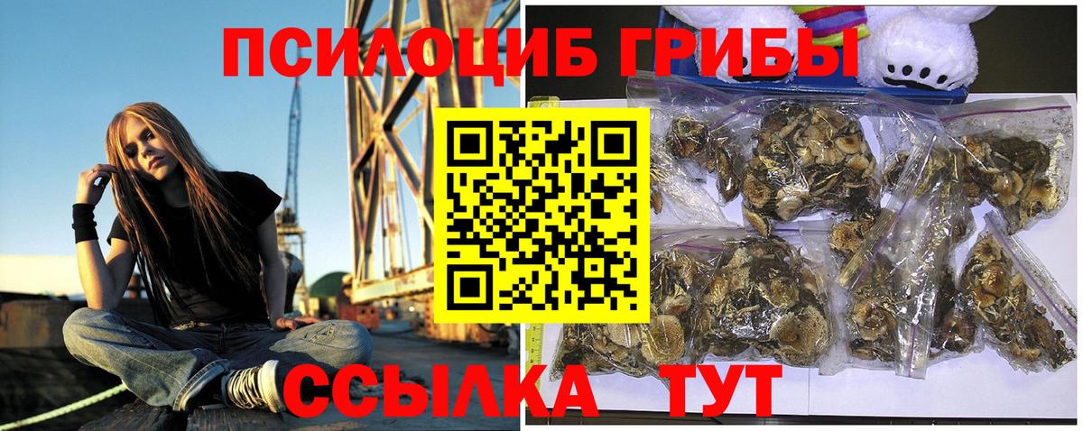 Галлюциногенные грибы Cubensis  Галлюциногенные грибы мицелий  Вход с VPN  Острогожск 