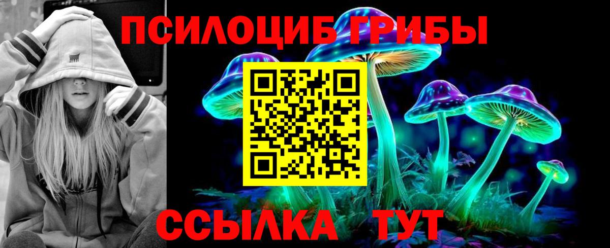 Галлюциногенные грибы Psilocybine cubensis Острогожск